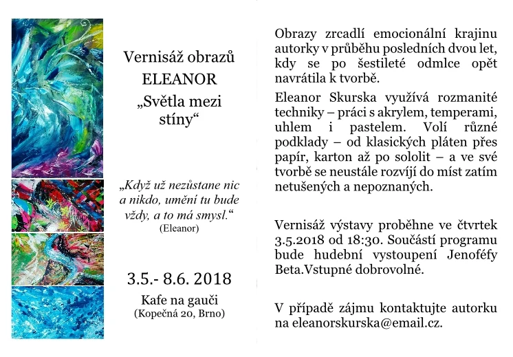 Obrazový doprovod k akci Vernisáž obrazů Eleanor „Světla mezi stíny“