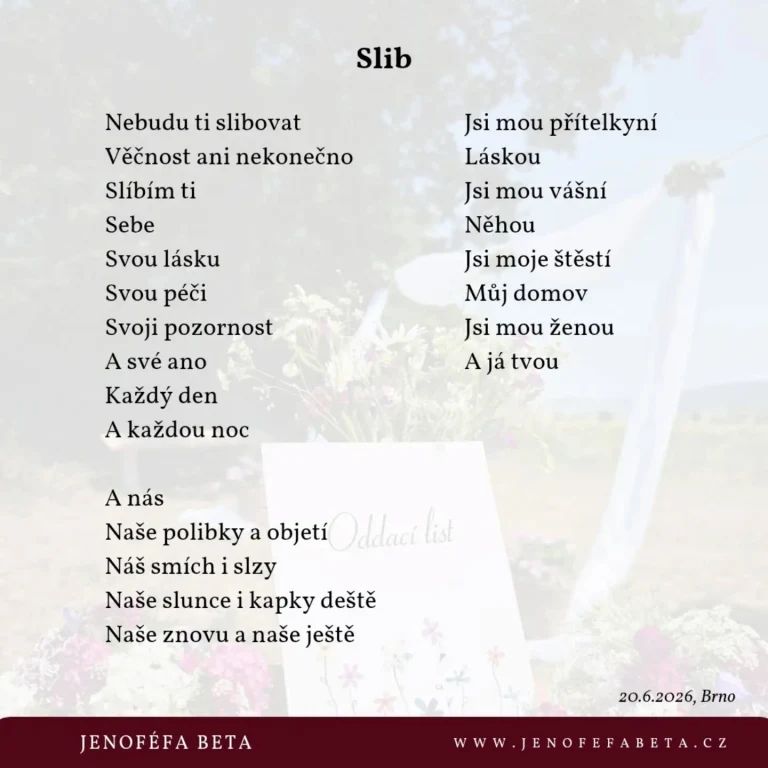 báseň Slib