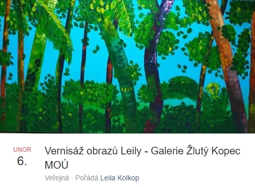 Obrazový doprovod k akci hudební doprovod na vernisáži obrazů Leily Kolkop