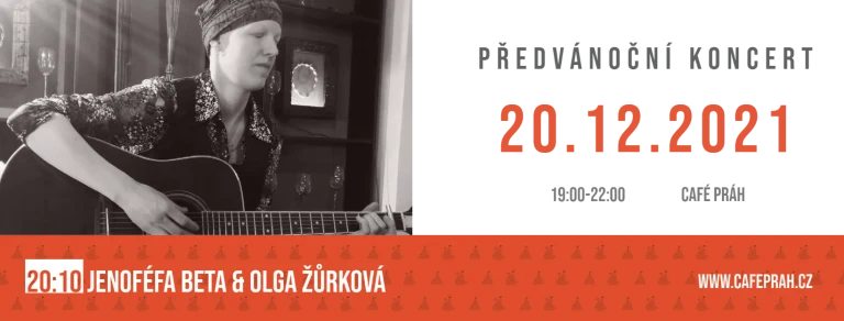 Obrazový doprovod k akci předvánoční společný koncert