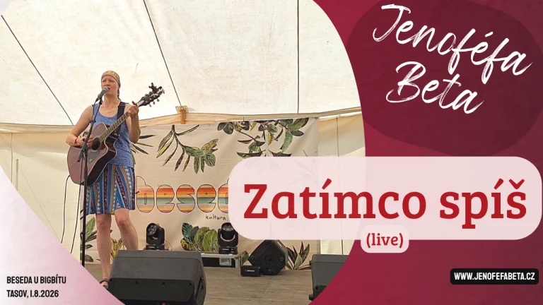 Zatímco spíš live na fesivalu Beseda u bigbitu - youtube cover image